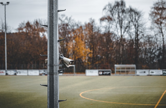 样化注入了 样化注入了