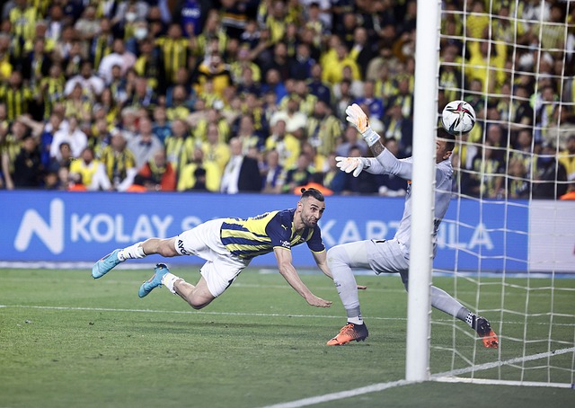 备受瞩目的 备受瞩目的