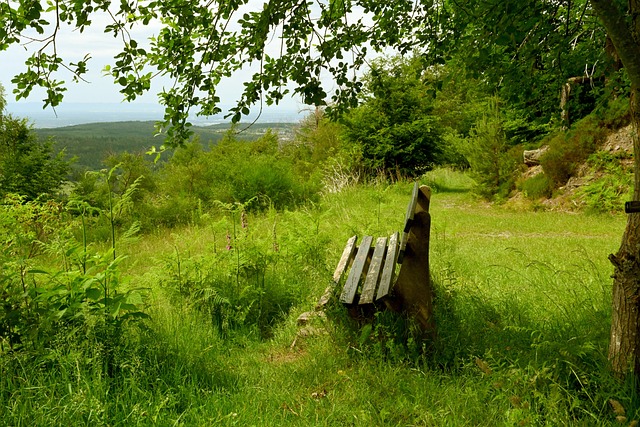 埃切维里社媒晒照告别家人朋友：我会非常想念你们.