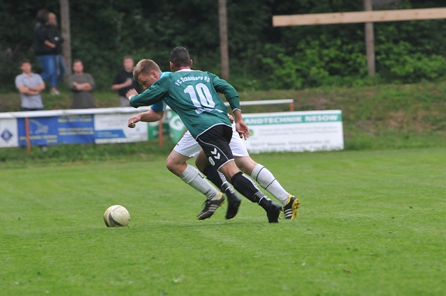 一堂生动的 一堂生动的