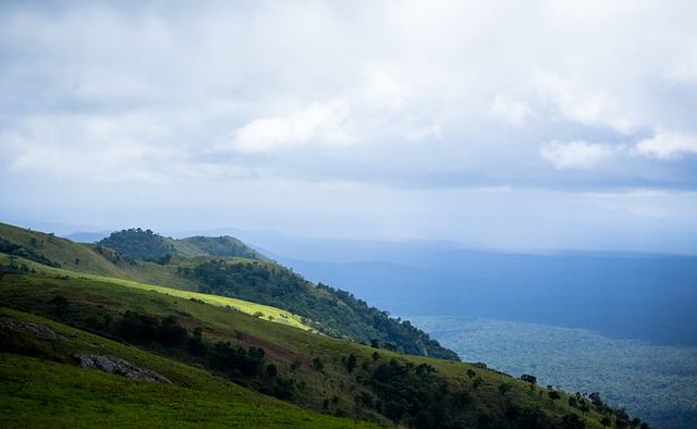的一个缩影 的一个缩影