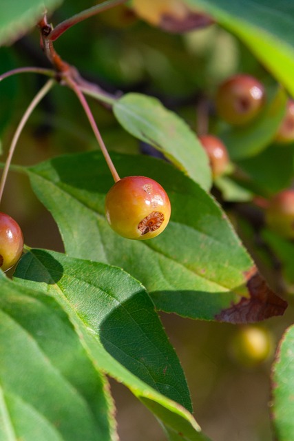 通过复盘一 通过复盘一