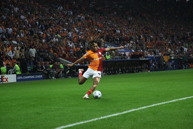 这座球场是 这座球场是