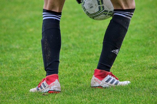 赛季的到来 赛季的到来