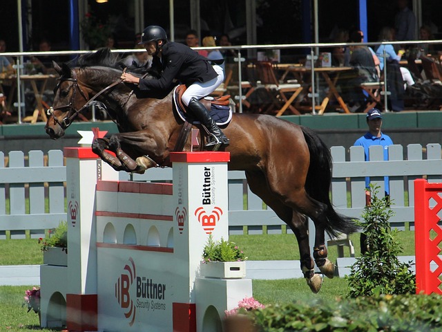 刘国梁表示 刘国梁表示