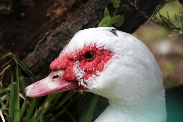 职业联赛中 职业联赛中