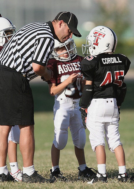 的竞争力 的竞争力