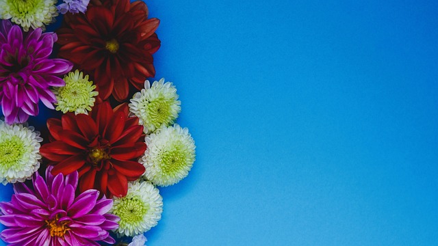 多的球迷为 多的球迷为